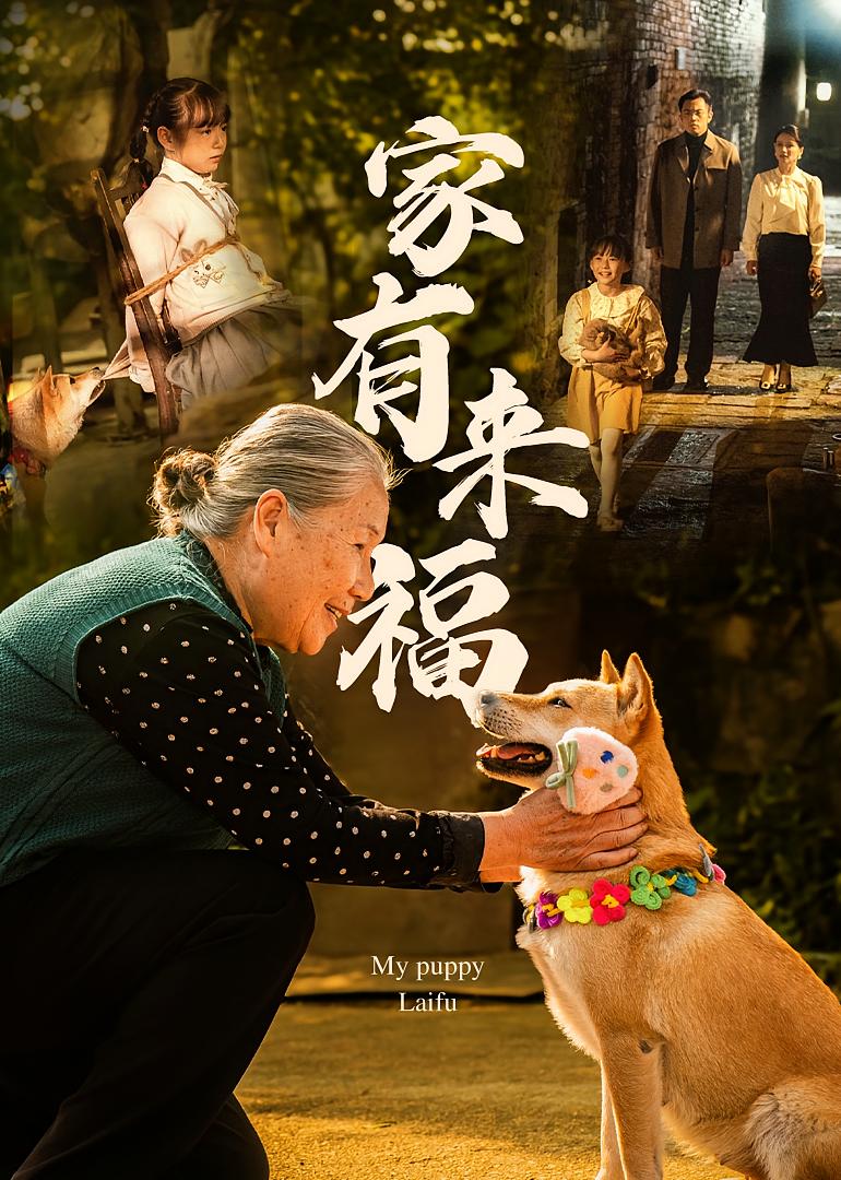 家有来福 